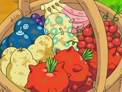 Berry Basket