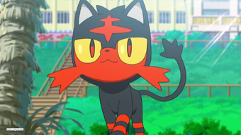 Litten