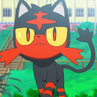 Litten Pokemon Wiki Fandom