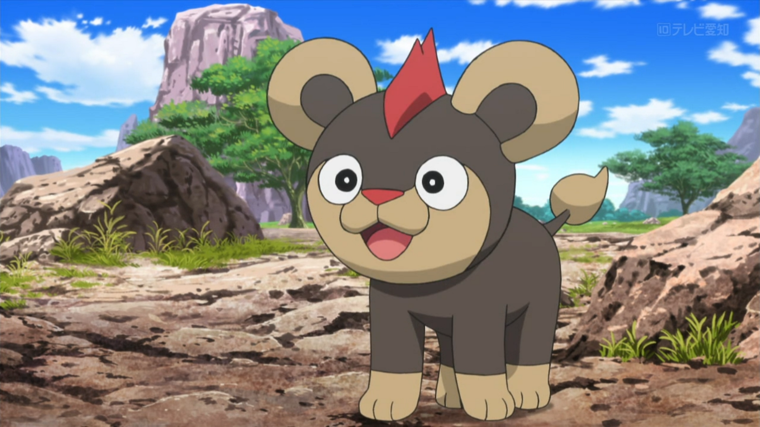 Litleo (XY097)
