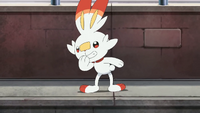 Goh Scorbunny (Pre-released Trailer version)