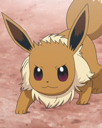 Ilimas Eevee Pokémon Wiki Fandom