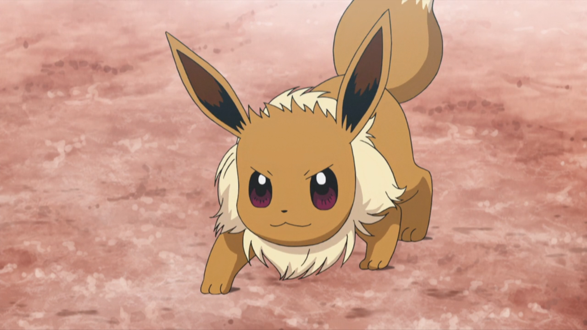 Ilimas Eevee Pokémon Wiki Fandom