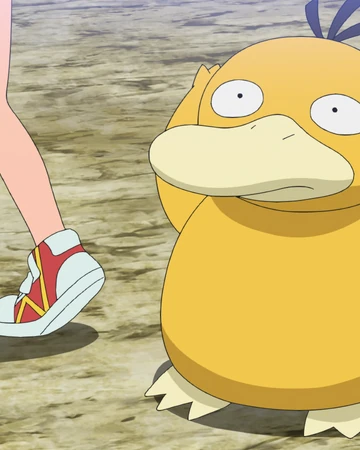 Misty S Psyduck Anime Pokemon Wiki Fandom