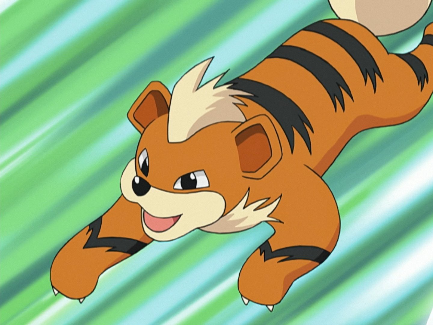 Image result for pokemon tv show growlithe