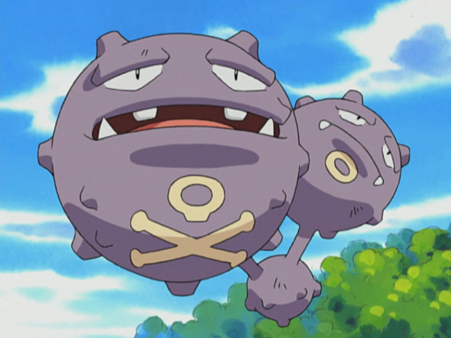 weezing anime pokémon wiki