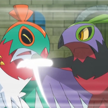Karate Chop Pokemon Wiki Fandom