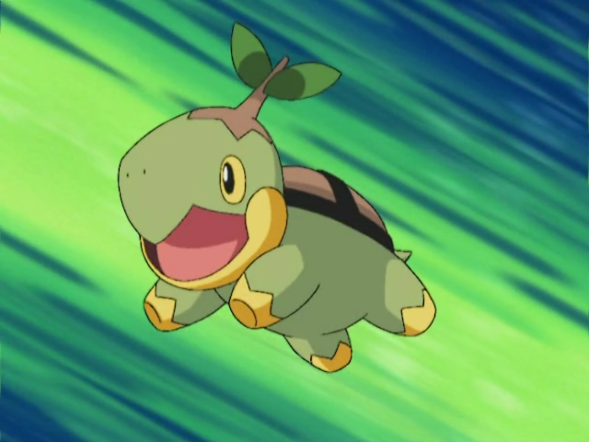 Resultado de imagem para turtwig anime gif