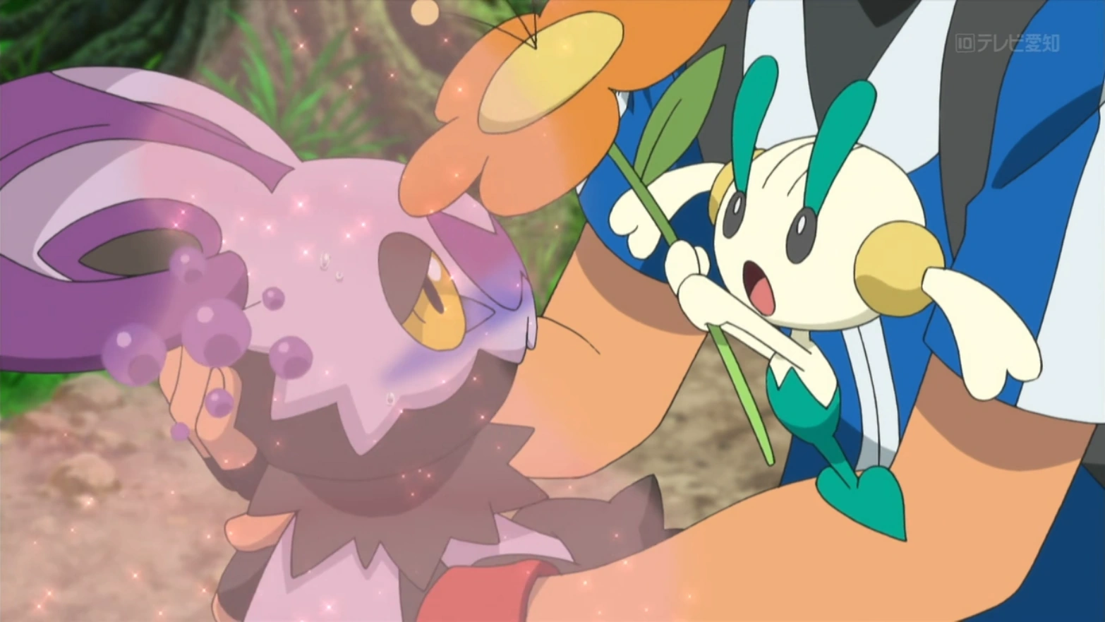 Image Floette Aromatherapy.png Pokémon Wiki FANDOM powered by Wikia