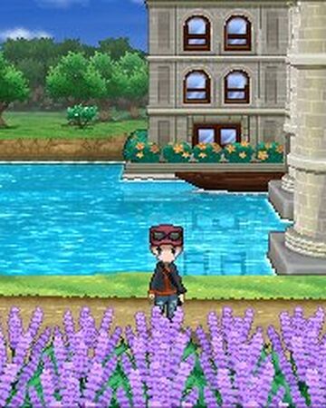 Wallpaper Kalos Route 7 Pokemon Wiki Fandom For iPhone