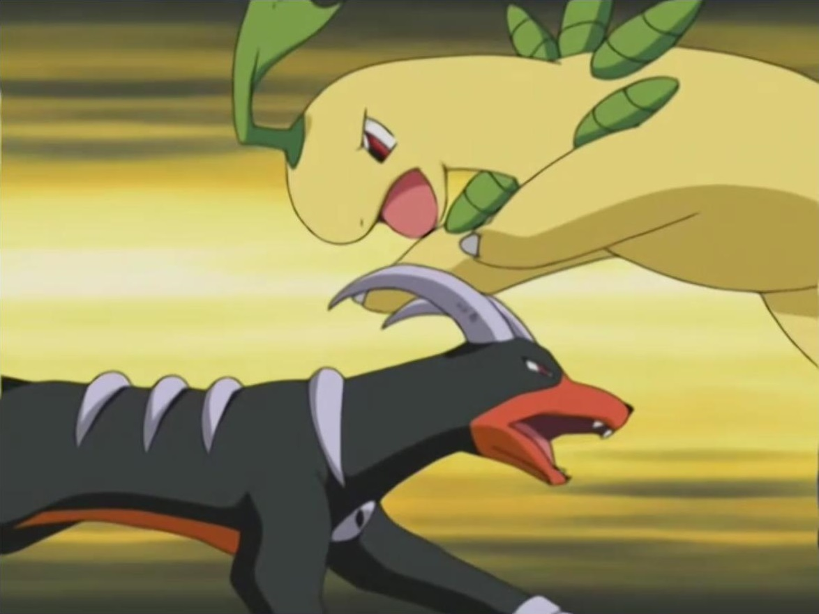 ash s bayleef pokémon wiki fandom powered by wikia
