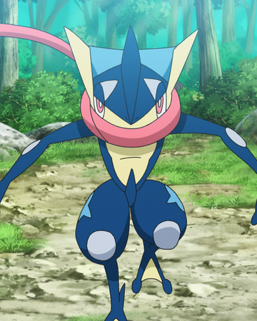 Ashs Greninja Pokémon Wiki Fandom