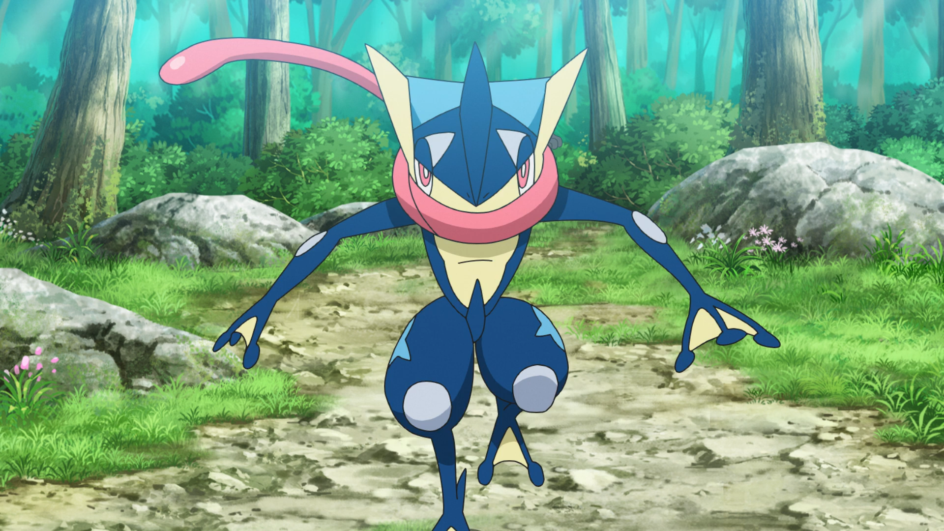 Ashs Greninja Pokémon Wiki Fandom