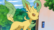 Zoey Leafeon