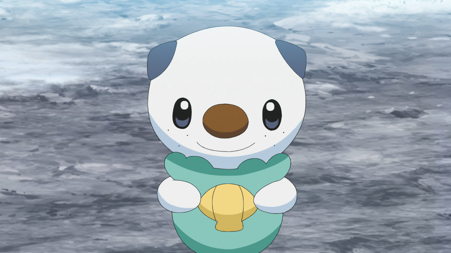 Ashs Oshawott Pokémon Wiki Fandom Powered By Wikia