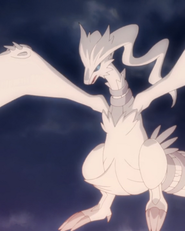 Reshiram Ms014 Pokemon Wiki Fandom