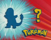 Who's That Pokémon (TB011)