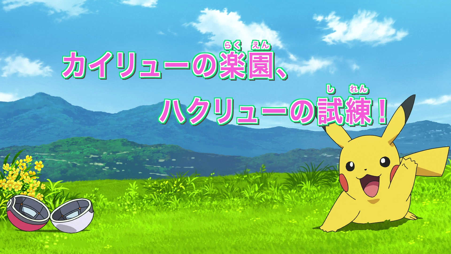 ハクリュー Xy イメージポケモンコレクション ハクリュー Xy イメージポケモンコレクション