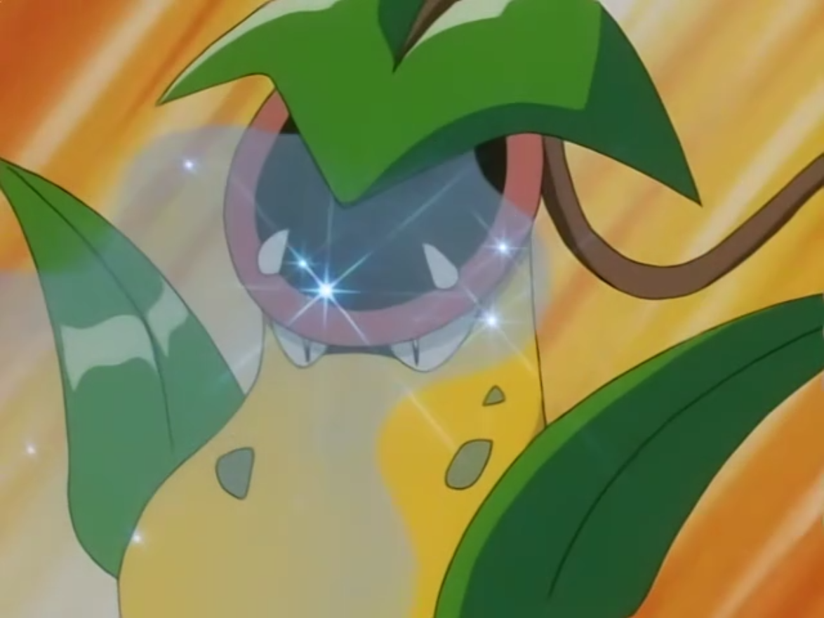 generation 3 pokemon sleep generation 3 pokemon sleep