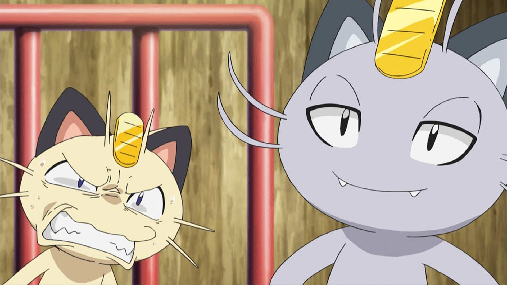 Image result for Alolan Meowth  Pokemon  anime