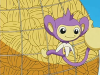 EP491 Aipom menjant un plàtan