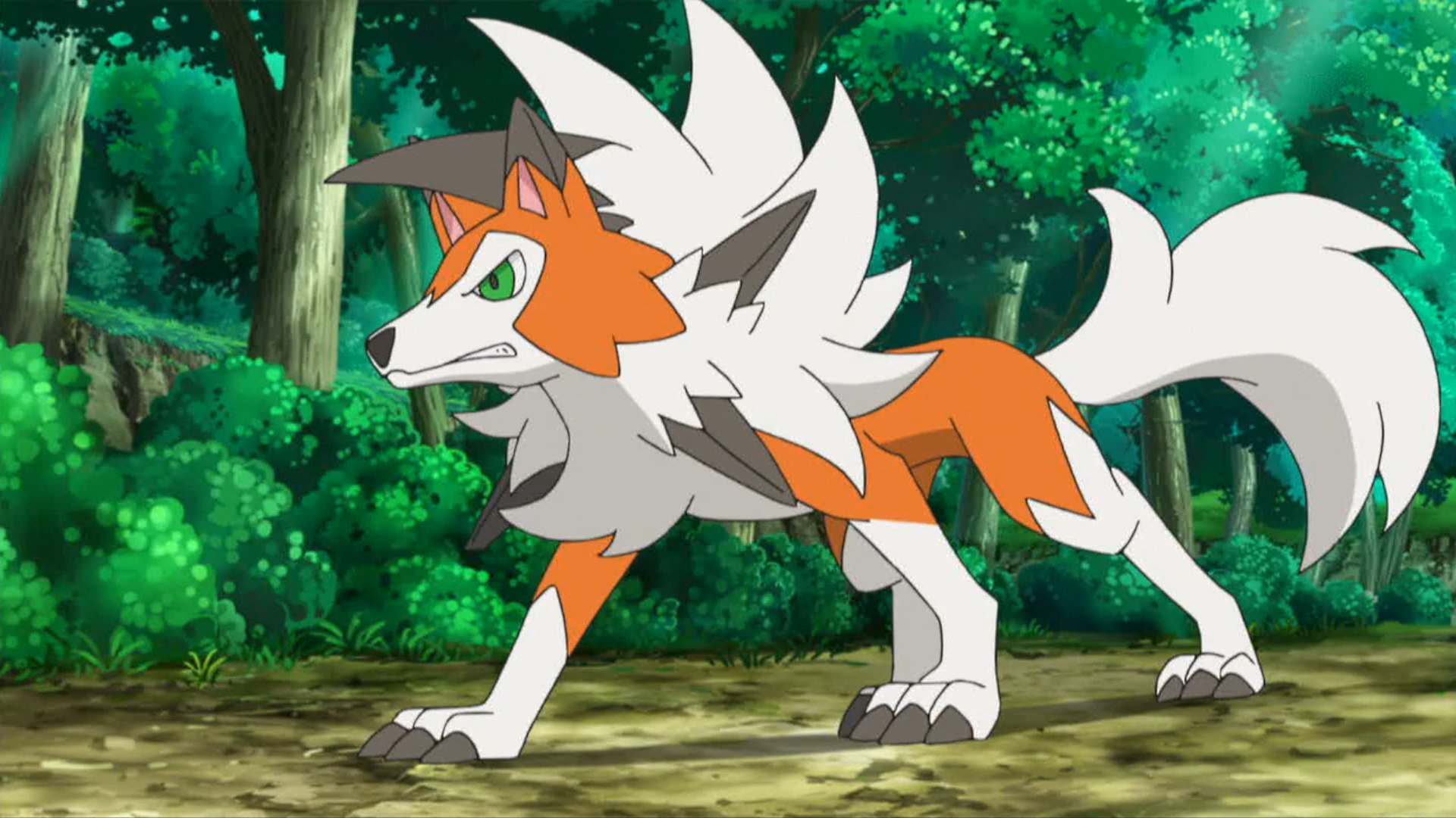 Ashs Lycanroc Pokémon Wiki Fandom