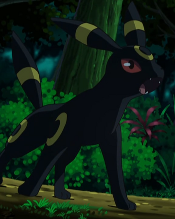 Virgil S Umbreon Pokemon Wiki Fandom