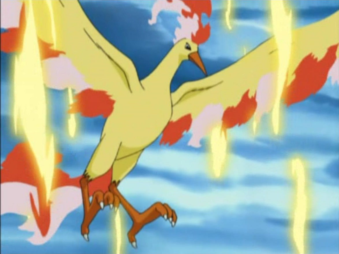 Moltres Anime Pokémon Wiki Fandom Powered By Wikia