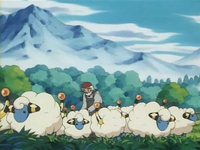 EP182 Ramat de Mareep
