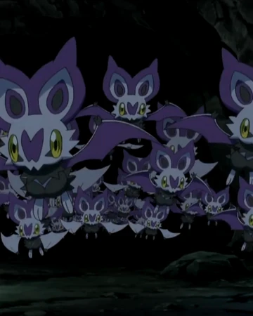 Noibat Xy032 Pokemon Wiki Fandom
