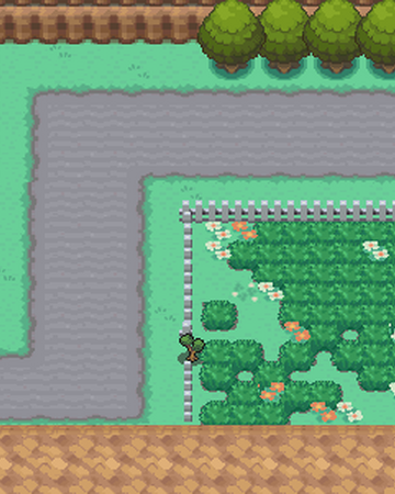 Kanto Route 8 Pokémon Wiki Fandom