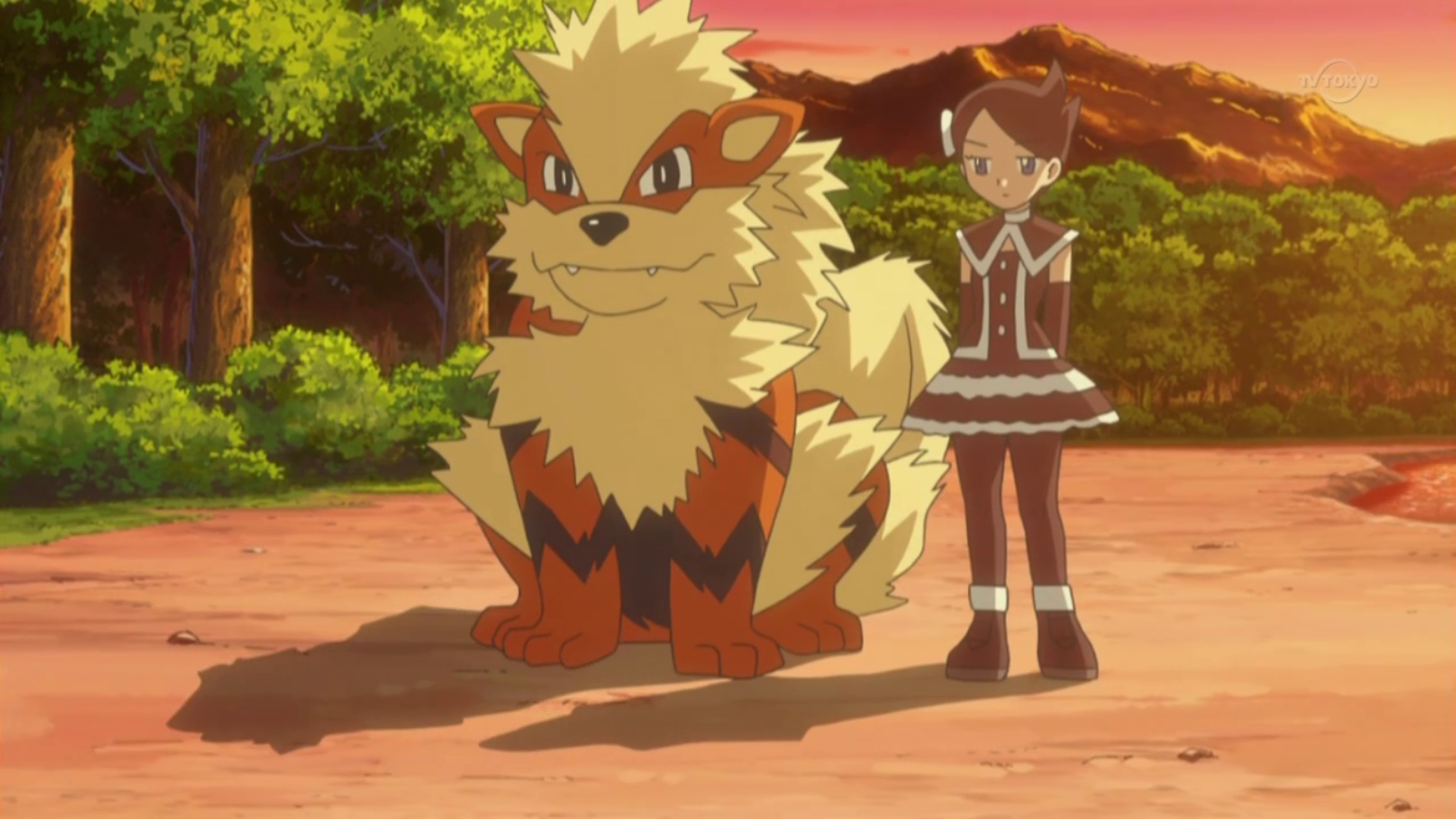 Výsledek obrázku pro arcanine