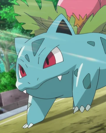Shaunas Ivysaur Pokémon Wiki Fandom