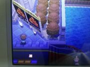Pokewoodbug2