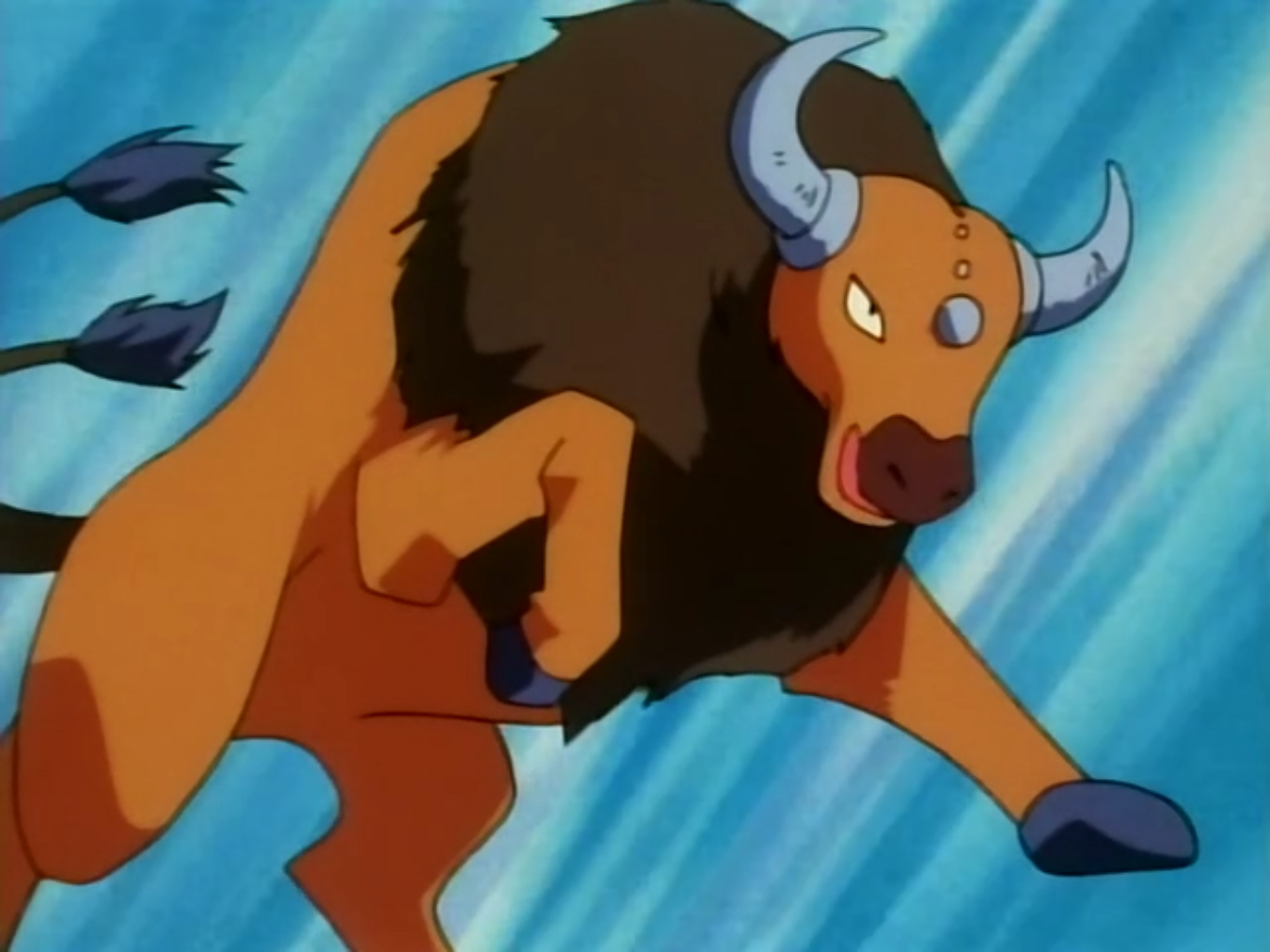 Trainers Tauros Pokémon Wiki Fandom