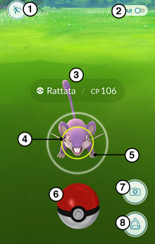 Catching image PG