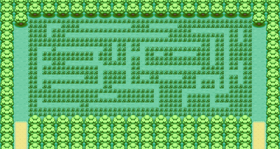 Pattern Bush