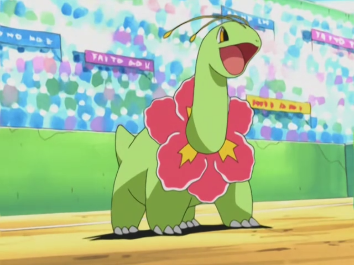 vincent s meganium pokémon