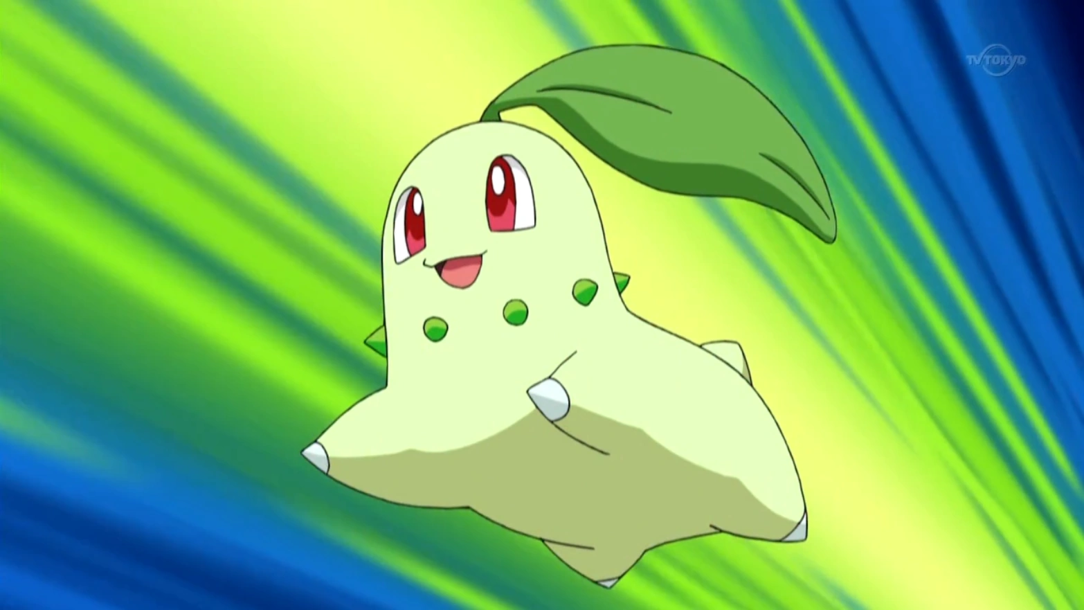 Resultado de imagem para chikorita lyra