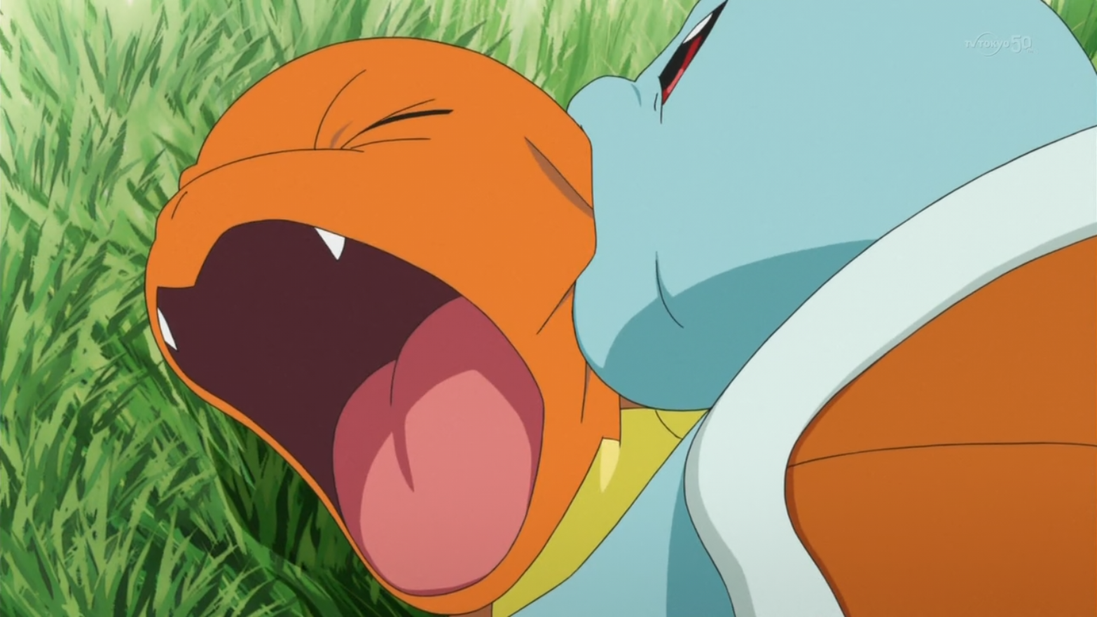 Image - Blue Squirtle Bite PO.png | Pokémon Wiki | FANDOM powered by Wikia