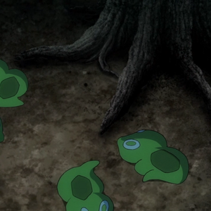 Zygarde Pokemon Wiki Fandom