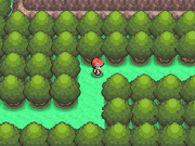 Spring Path