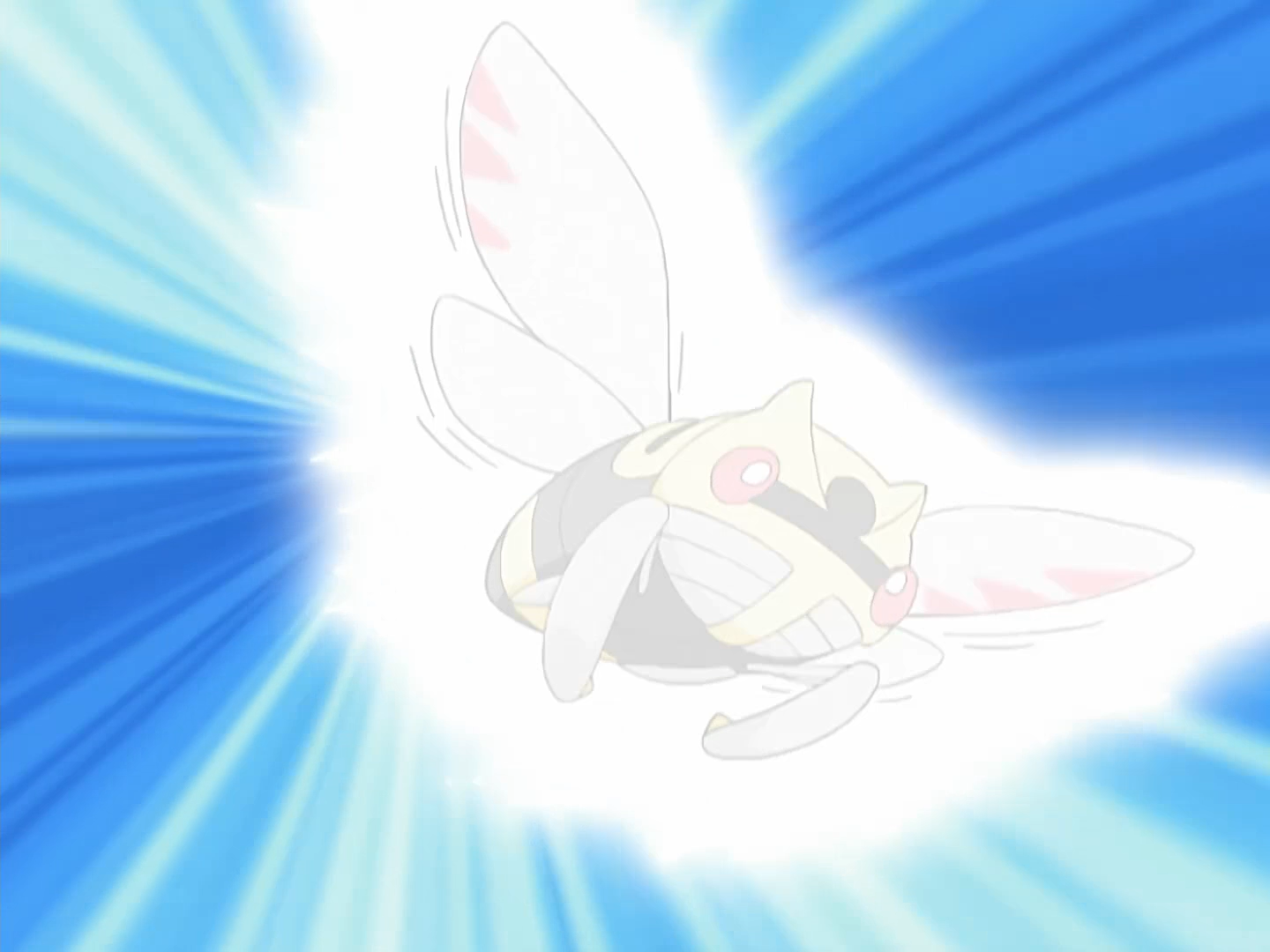 aerial ace aerial ace