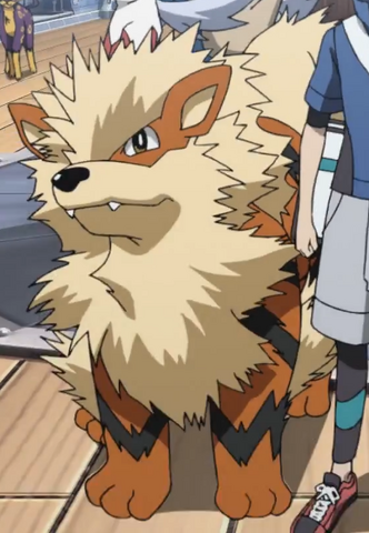 File:Nate Arcanine.png