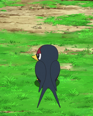 Goh S Taillow Pokemon Wiki Fandom