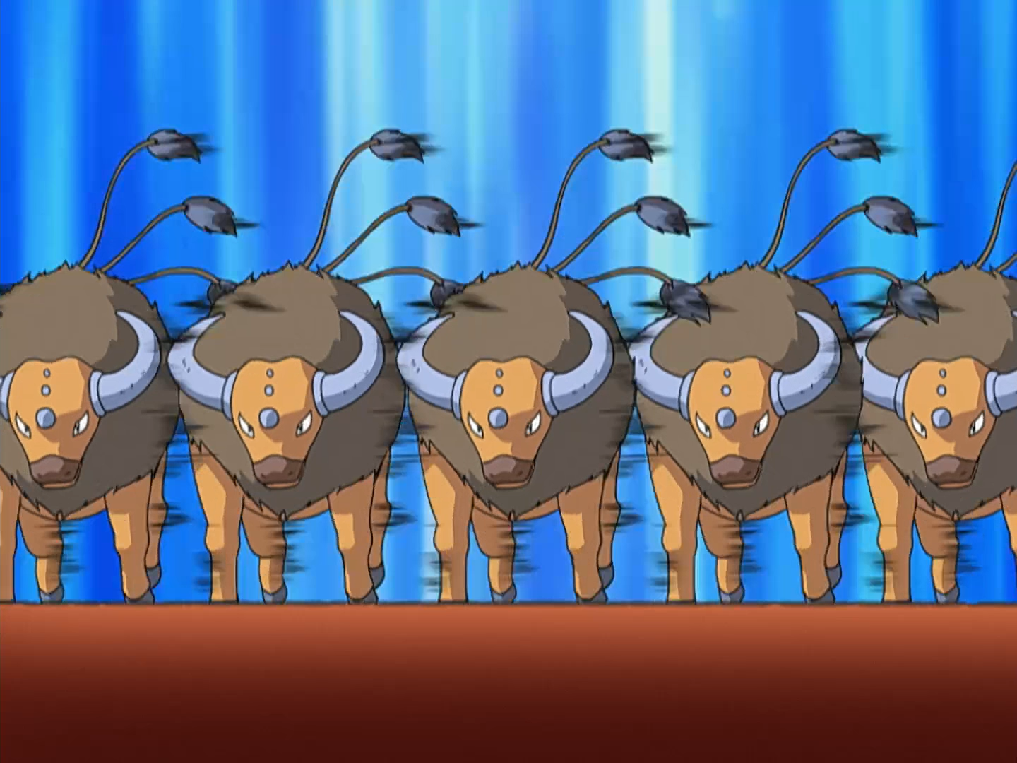 ash s tauros pokémon wiki fandom powered by wikia