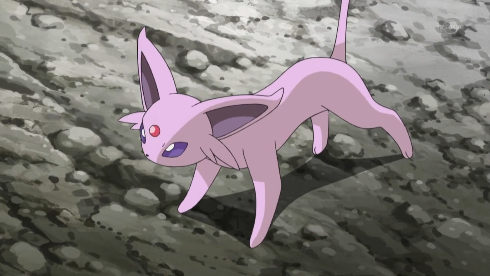 Virgil's Espeon | Pokémon Wiki | Fandom