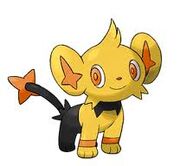 Shiny Shinx