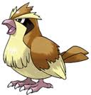 Pidgey