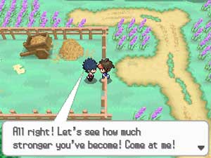 Rival 03 en